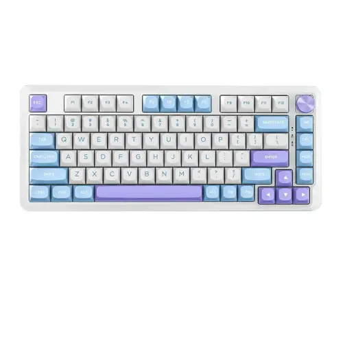 کیبورد بی سیم مکانیکال گیمینگ ردراگون Cyrus PRO K681 WBP